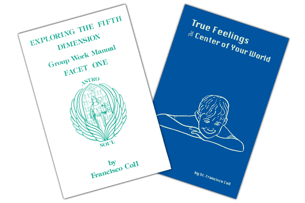 Exploring the Fifth Dimension Facet I Groups Work Book Set