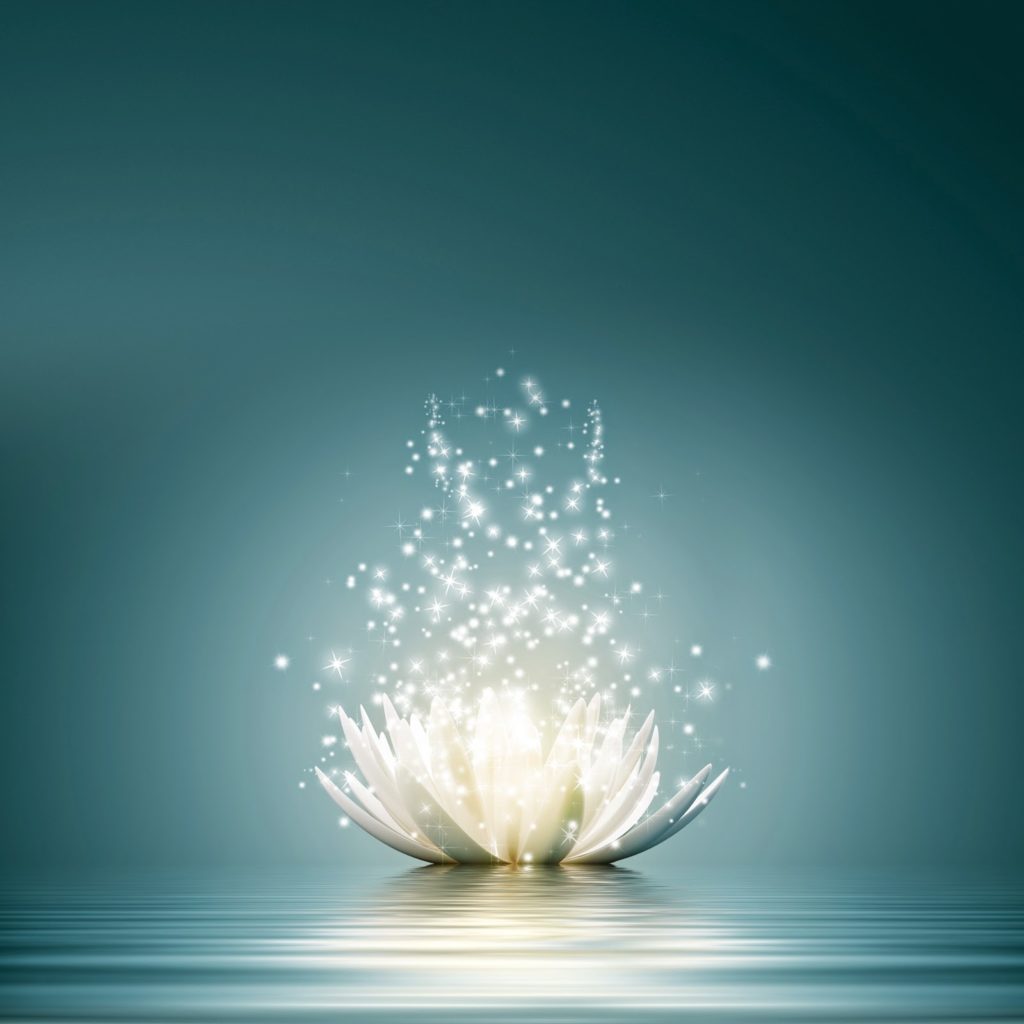 spiritual-awakening-flower-1024x1024.jpg